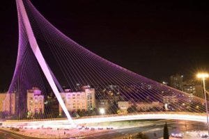 גשר המיתרים בשנה שעברה (צילום: האגודה למלחמה בסרטן)