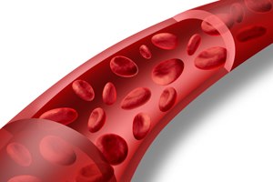 CML: ממחלה סופנית לכרונית-תמונה