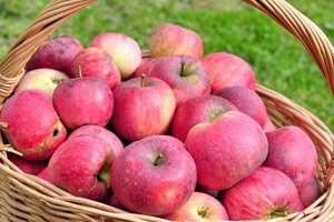 מיצי פירות למניעת סרטן?-תמונה