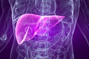 דלקת כבד: מניעה, תסמינים וטיפול-תמונה