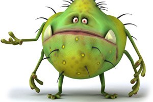 זן חדש של סלמונלה (אילוסטרציה צילום shutterstock)