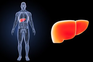 מחלות כבד? חשוב לפנות למומחה-תמונה