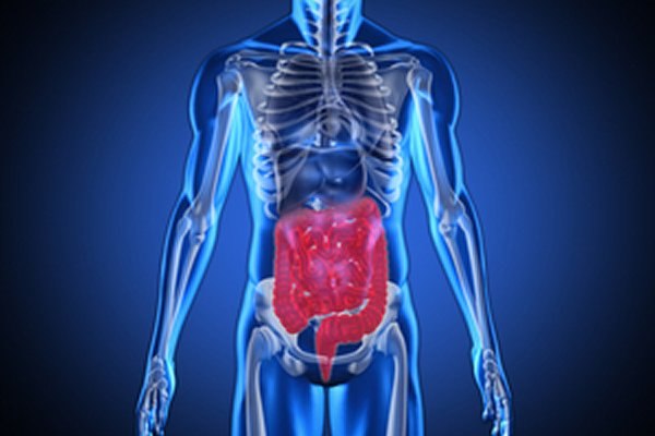 מחלות כבד ודרכי העיכול: מיתוסים-תמונה