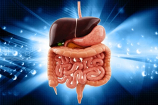 אנדוסקופיה של מערכת העיכול-תמונה