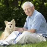 חדש בדוקטורס: פורום גריאטריה-תמונה