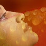 השמפניה של השמנים - שמן זית טהור-תמונה