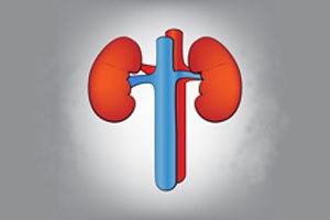 סוכרתי? תבדוק את הכליה שלך-תמונה