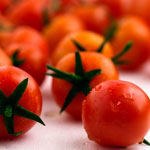 להרעיב את לחץ הדם  - חלק ראשון