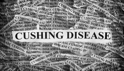 מחלת קושינג - תמונת אווירה