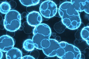 נמצא הגן הגורם לניוון שרירים-תמונה