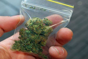 מריחואנה מגנה מפני נזק מוחי-תמונה