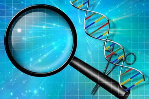 גילוי מחלה מוחית נדירה בילדים-תמונה