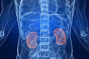 אחים לכליה: כליה אחת הושתלה פעמיים