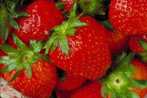 תותים ואוכמניות מפחיתים לחץ דם-תמונה