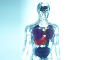 קוצבי לב: המדריך המלא-תמונה