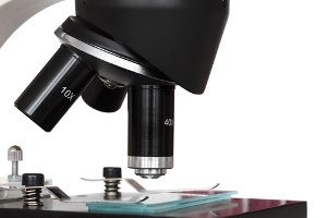 התפרצות אבולה באפריקה  (אילוסטרציה)