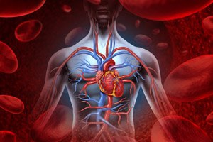 'השר הפלטיני מת מהתקף לב'