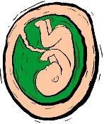 חוק הסכמים לנשיאת עוברים