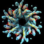 צעד וחצי-תמונה