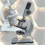 לוחמה ביולוגית-תמונה