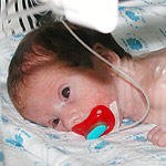 וחוזר חלילה-תמונה