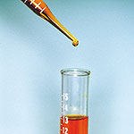 הגוף זוכר - תפיסה חדשה