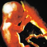 עובר ושב פחות-תמונה