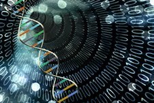 PCD: התגלה הגן האחראי (צילום: אילוסטרציה)