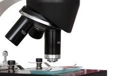 ניסויים קליניים, תקוצר הרגולציה (צילום: אילוסטרציה)