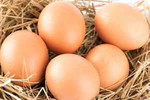 הריונית נדבקה בחיידק סלמונלה-תמונה