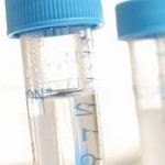 איך אומרים לילד שהוא תוצאה של תרומת ביצית?-תמונה