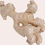 צמח הג'ינג'ר ובחילות הבוקר-תמונה