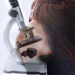 תרומת ביציות - תמונת מצב