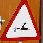 שנה חדשה ופוריה - על חידושים בתחום הפוריות וההריון-תמונה