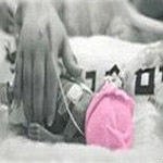 פגים חזק (חזק ואמץ)-תמונה