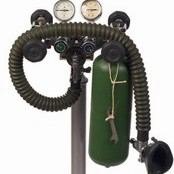 להחיות או לא להחיות? זו השאלה-תמונה