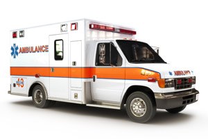 במד"א הצילו חיי כלבה שנדרסה-תמונה