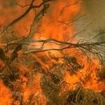 אין עשן בלי אש-תמונה