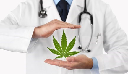 קנאביס רפואי - תמונת המחשה