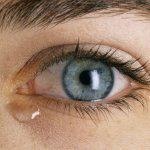 צרכנות רפואית מס' 142-תמונה