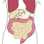 צרכנות רפואית מס' 148-תמונה