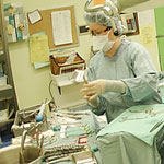 צרכנות רפואית מס' 164-תמונה