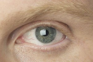 מגדלת לכבדי ראייה-תמונה