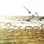 אלרגיה: אמצעי מניעה-תמונה