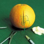 ויטמינים ומינרלים: כל האמת-תמונה