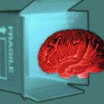 10 עובדות על מחלת האפילפסיה-תמונה