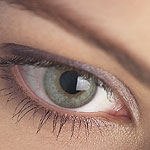 עיניים אדומות לרווחה - מהן מחלות עיניים נפוצות?-תמונה