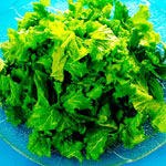 ליסטריה: מורה נבוכים ופורום זמין-תמונה