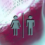 64% לא יודעים היכן נמצאת הכליה-תמונה