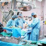 הג'נדר משפיע על הצלחת ההשתלה